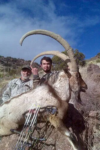 Compass West Outfitters ibex hunt