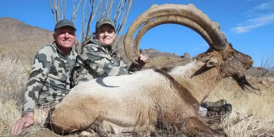 Compass West Outfitters ibex hunt