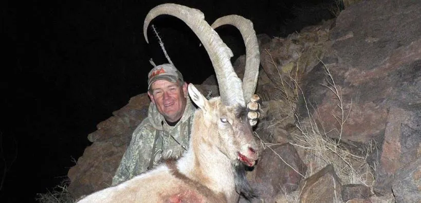 Compass West Outfitters ibex hunt
