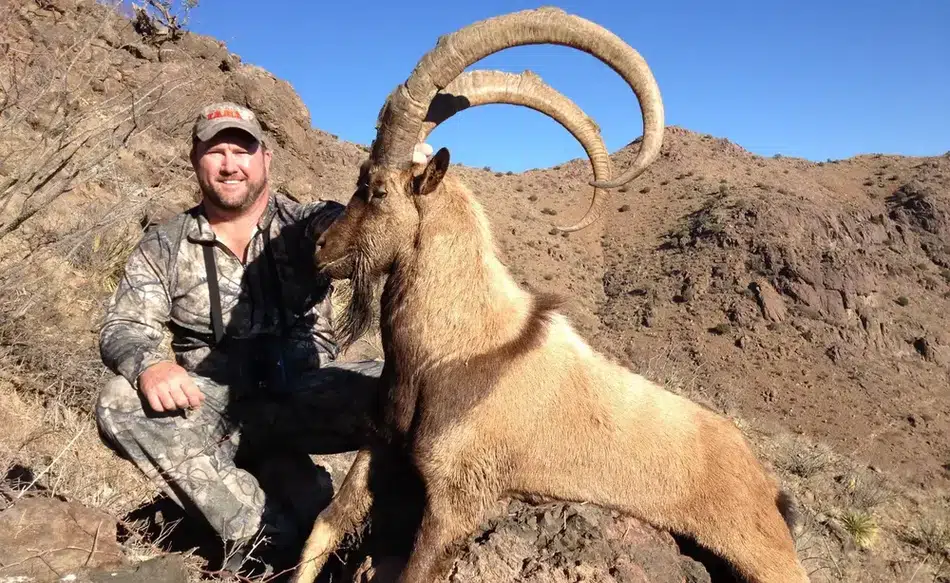 Compass West Outfitters ibex hunt