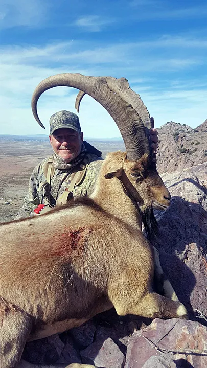 Compass West Outfitters ibex hunt