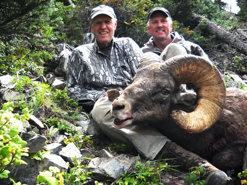 Compass West Outfitters sheep hunt