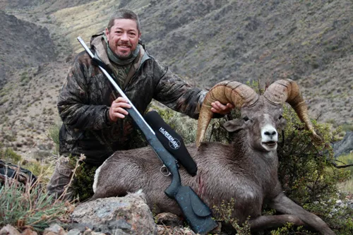 Compass West Outfitters sheep hunt