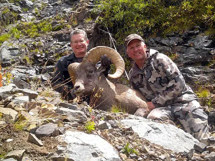 Compass West Outfitters sheep hunt