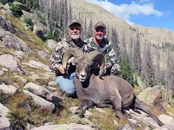 Compass West Outfitters sheep hunt