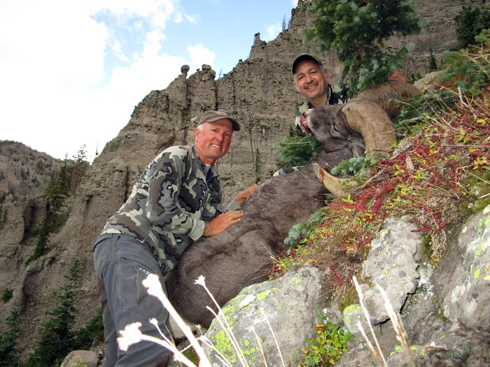 Compass West Outfitters sheep hunt