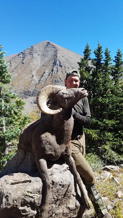 Compass West Outfitters sheep hunt