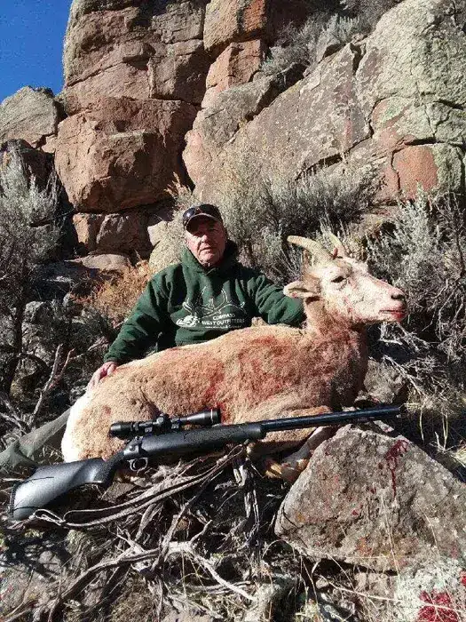 Compass West Outfitters sheep hunt