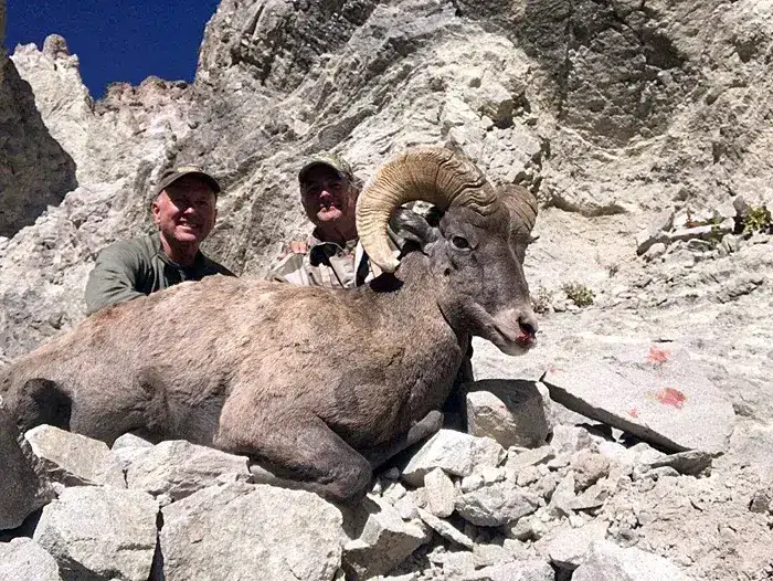 Compass West Outfitters sheep hunt