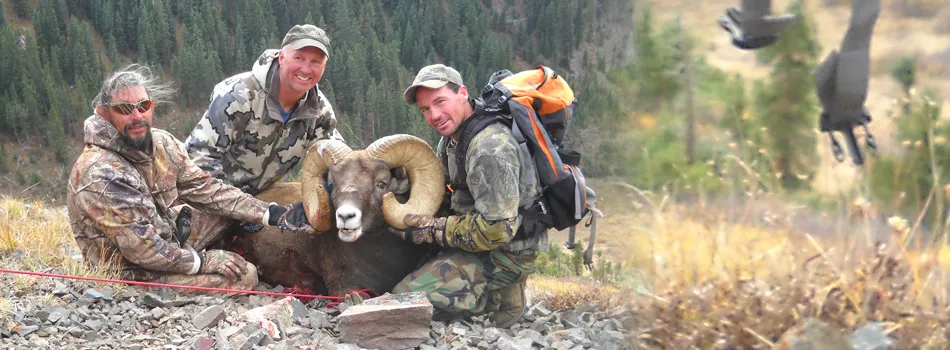 Compass West Outfitters sheep hunt
