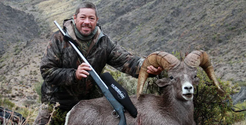 Compass West Outfitters sheep hunt