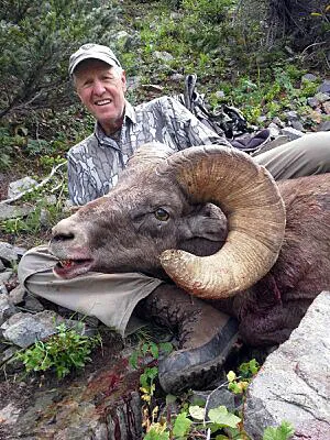 Compass West Outfitters sheep hunt