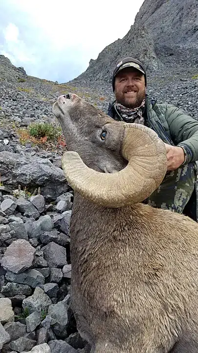 Compass West Outfitters sheep hunt
