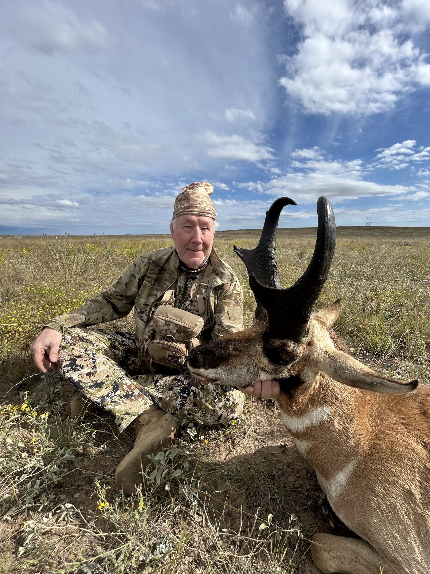 New Mexico pronghorn antelope hunt