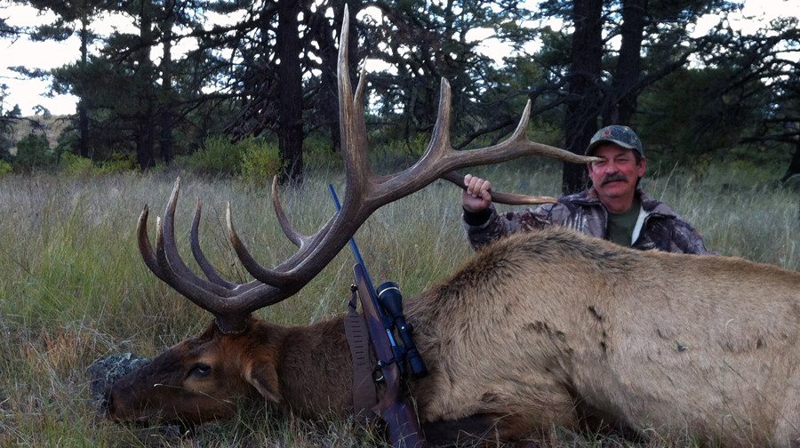 Guided New Mexico public land bull elk — Units 34, 36 and the Gila