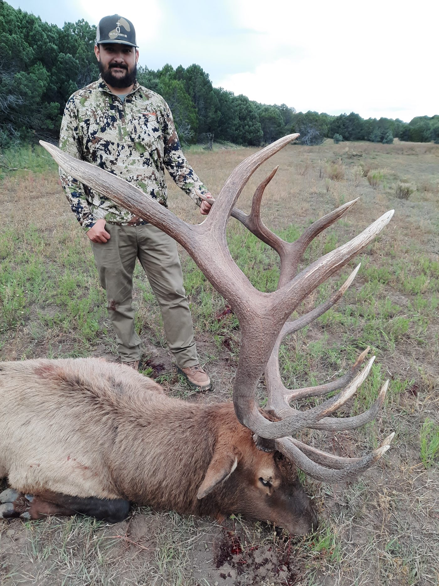 Guided private-land bull elk hunt — New Mexico Unit 30