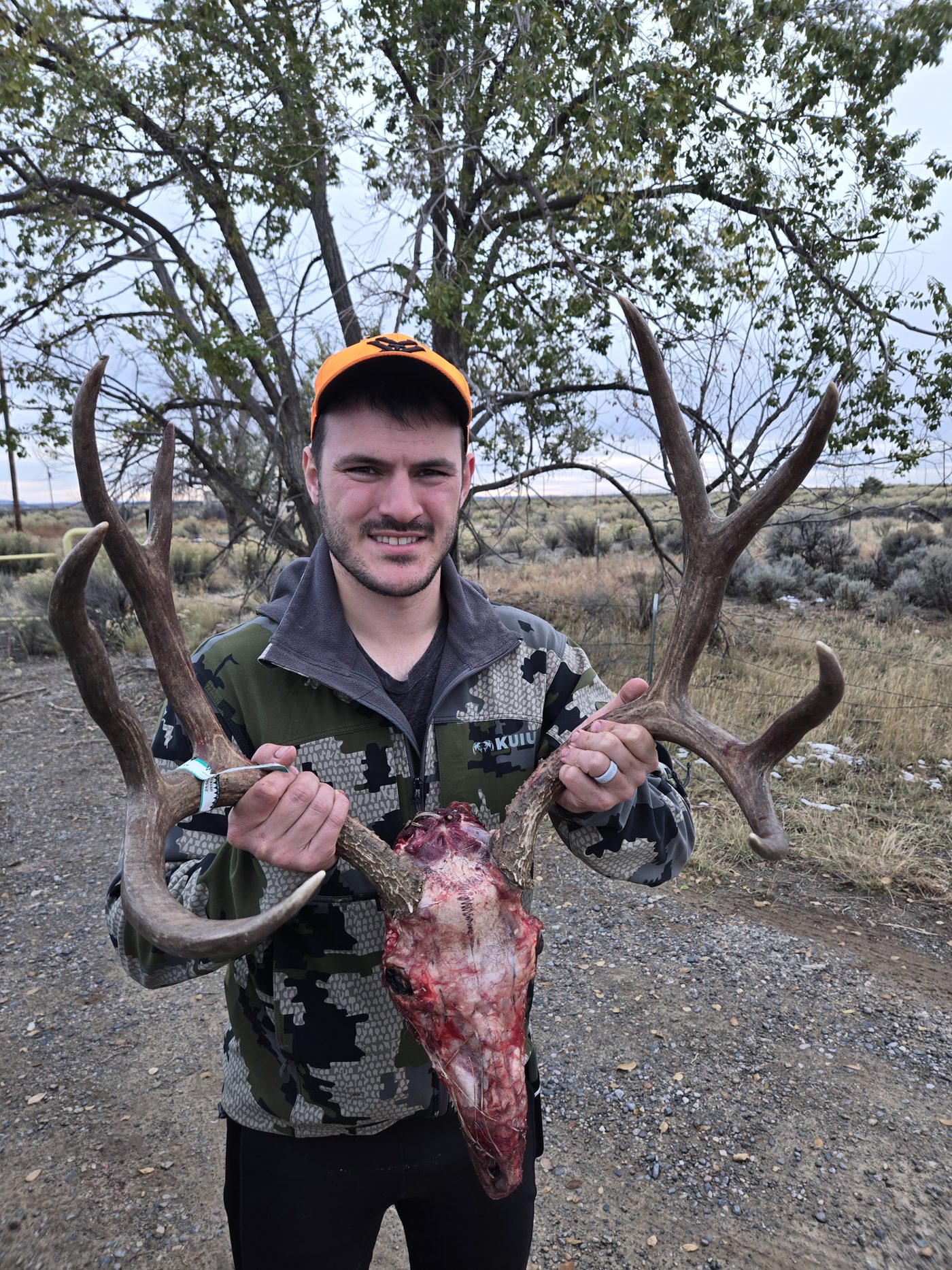 New Mexico trophy mule deer — Unit 2B, 2C and 30
