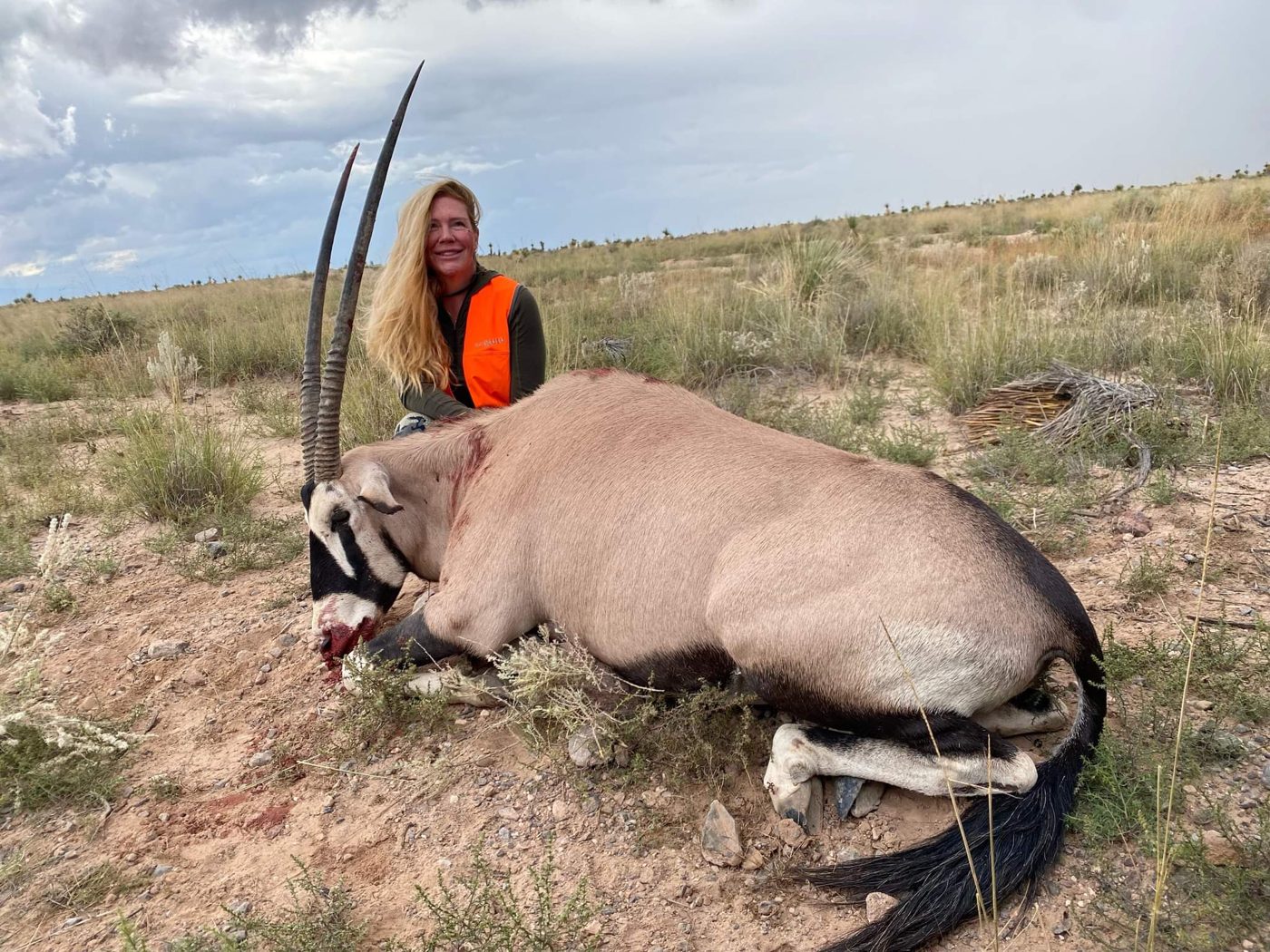 New Mexico free-range oryx (gemsbok) hunt on the White Sands range