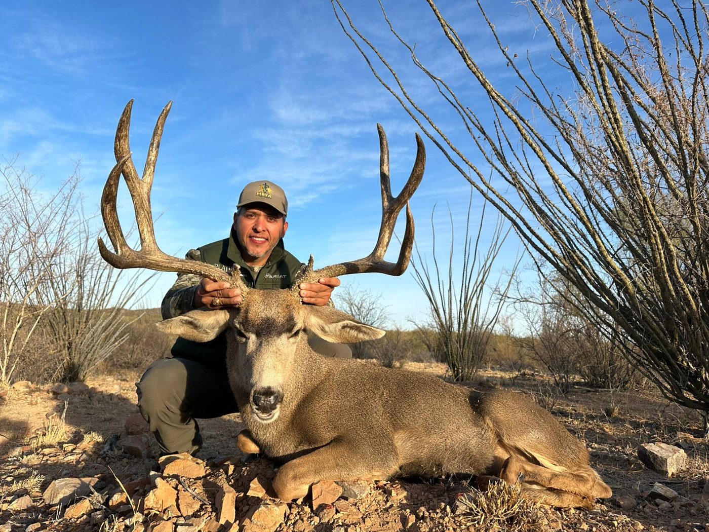 Sonora, Mexico desert mule deer and Coues deer hunt