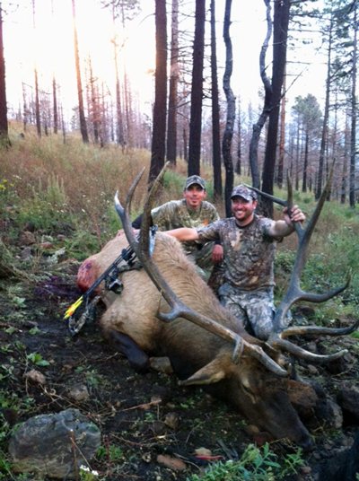 Public Land Elk hunt photo 2