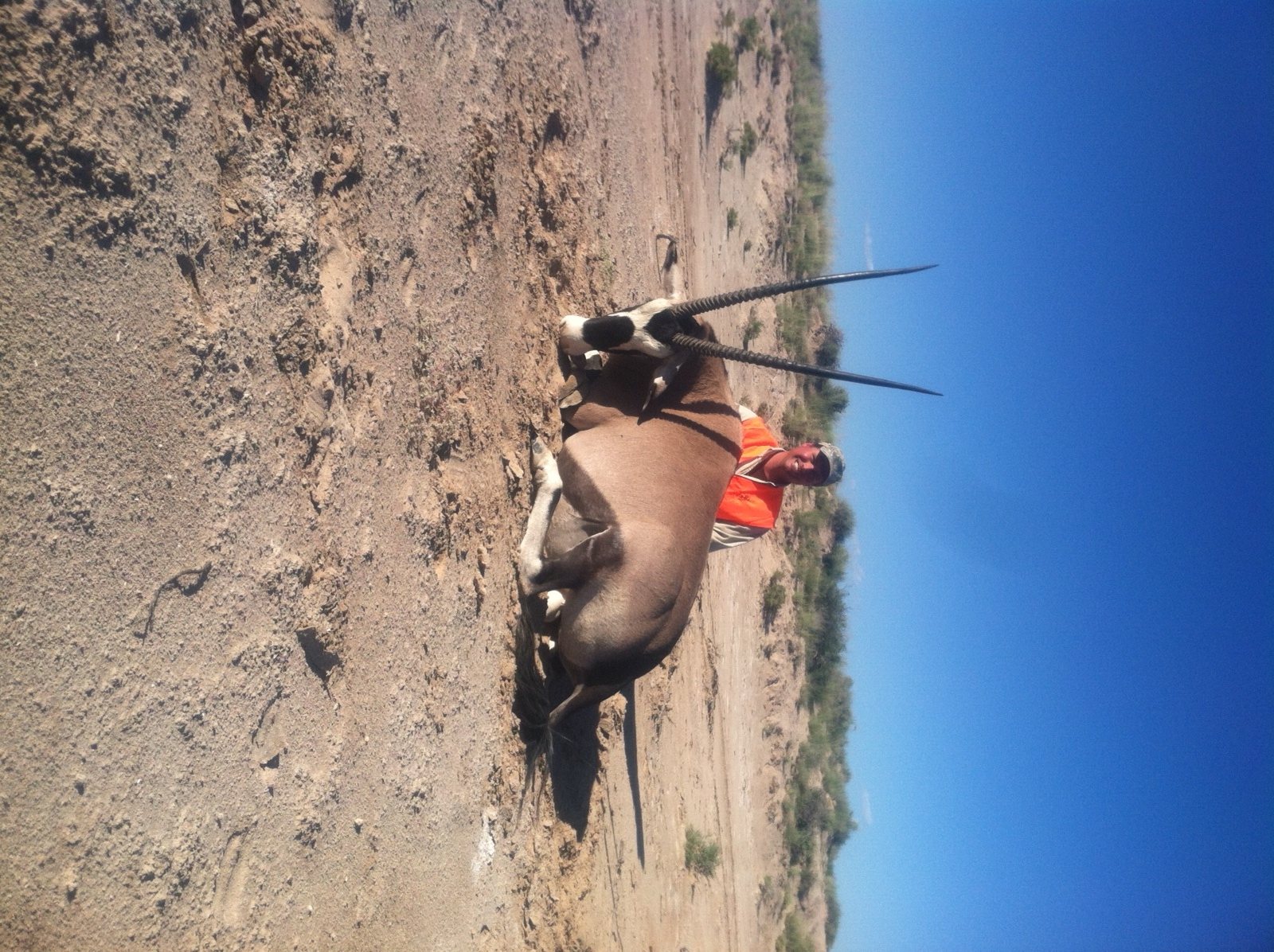 Guided New Mexico oryx hunter