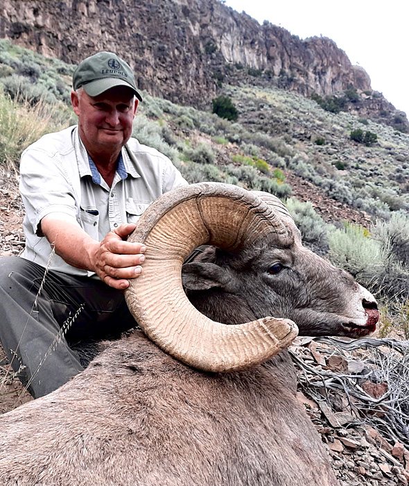 Sheep hunt photo 1