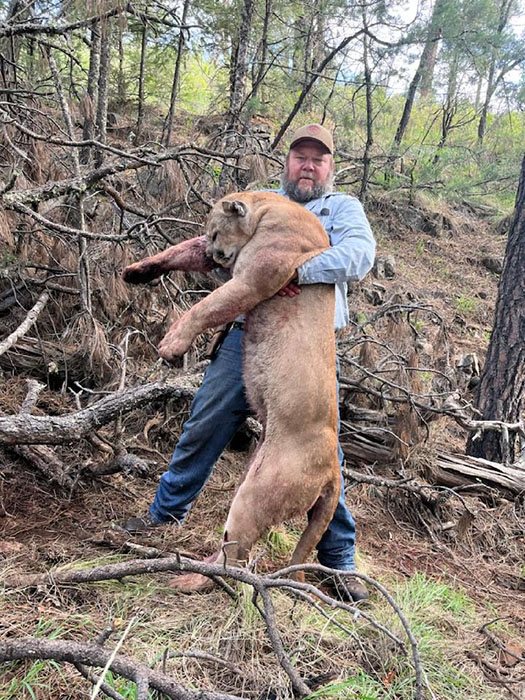 Bear & Lion hunt photo 1