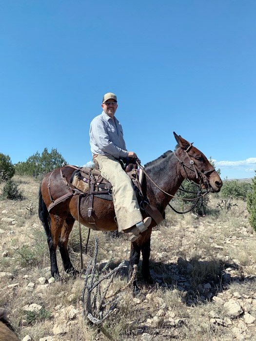 Public Land Elk hunt photo 4