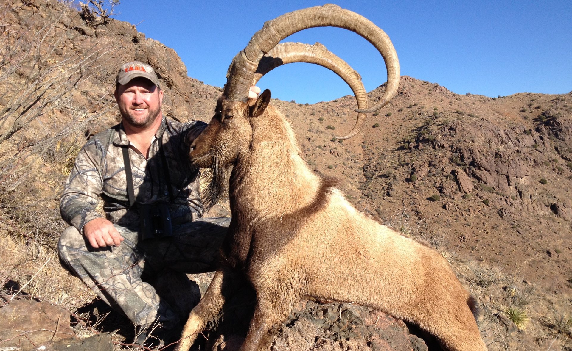 Ibex hunt with Compass West Outfitters