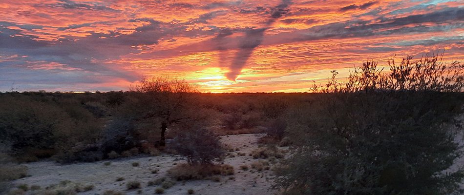 Sonora, Mexico hunt with Compass West Outfitters