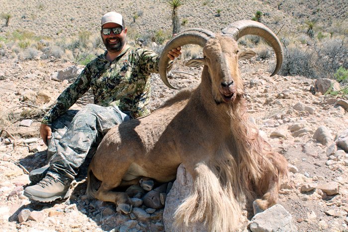 Texas Aoudad hunt with Compass West Outfitters
