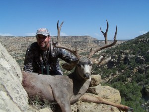 Mule Deer 2011-12 anthony photos 459