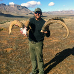 New-Mexico-Ibex-and-Nevada-sheep-web