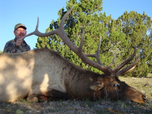 New Mexico private ranch bull