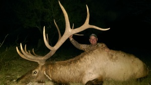 monster elk in unit 36