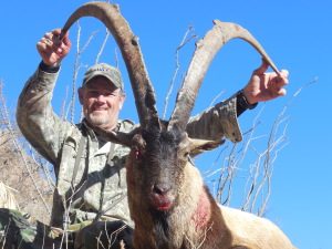 new mexico ibex hunting guides