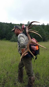 packing-an-elk-out