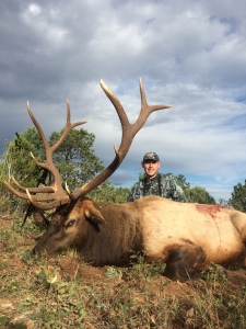 unit 34 rifle elk hunting guided hunt