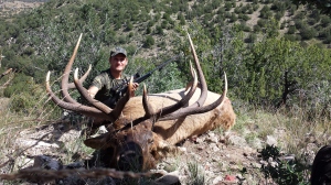 unit 36 New Mexico bull elk