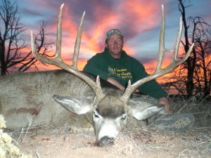 Guided Mule Deer Hunting