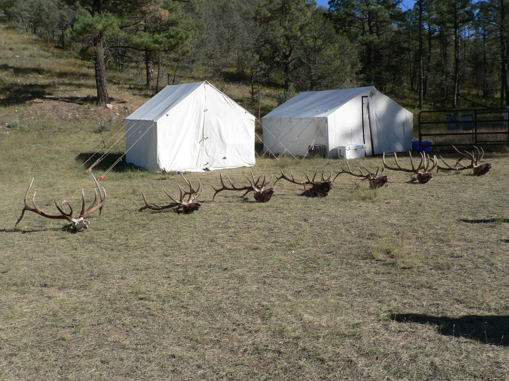 Unit 34 New Mexico rifle guides Compass West Outfitters Compass West
