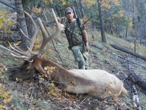 unit 16D monster bull