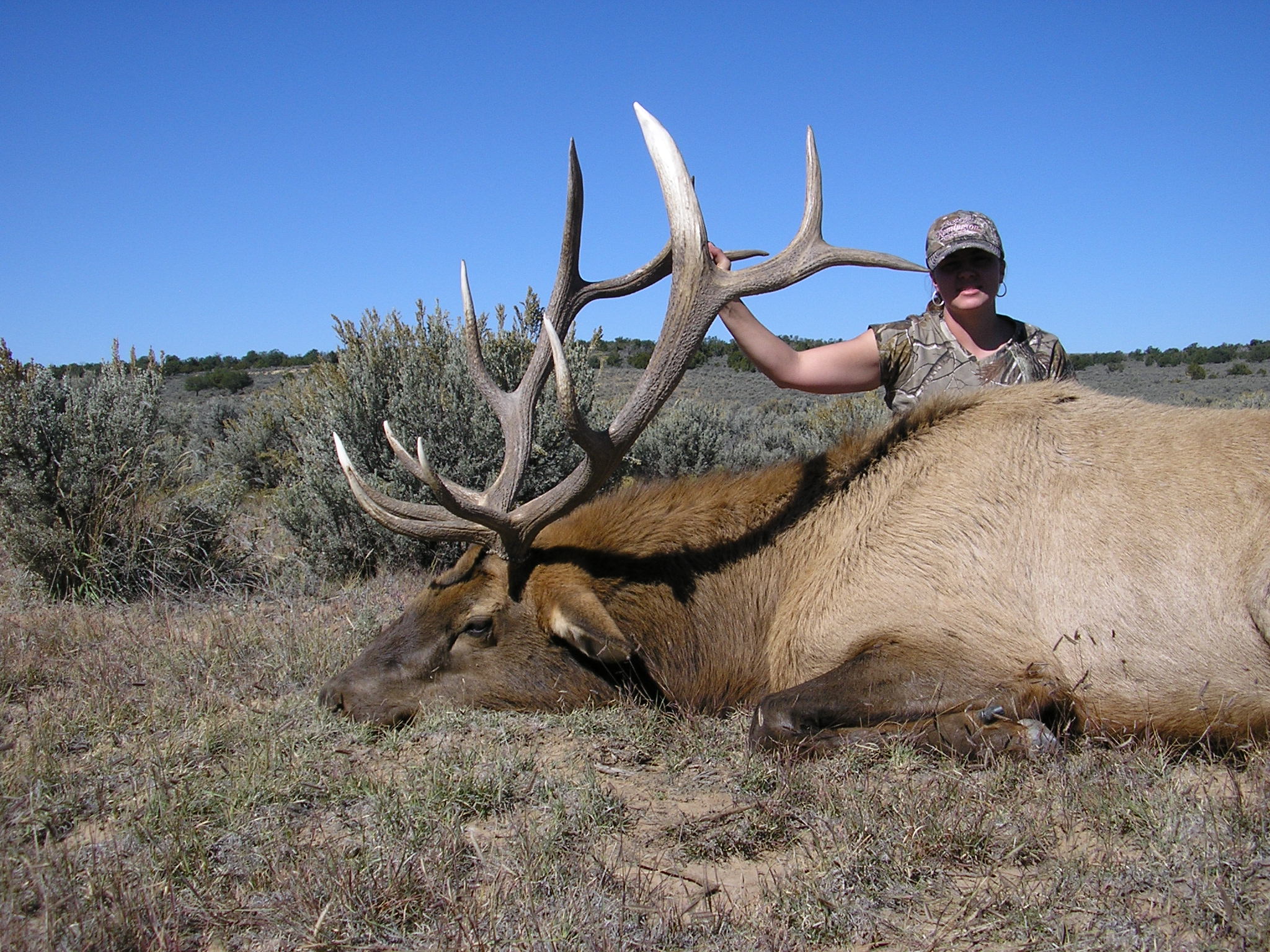 Unit-2-New-Mexico-Elk-Hunt – Compass West Outfitters Compass West