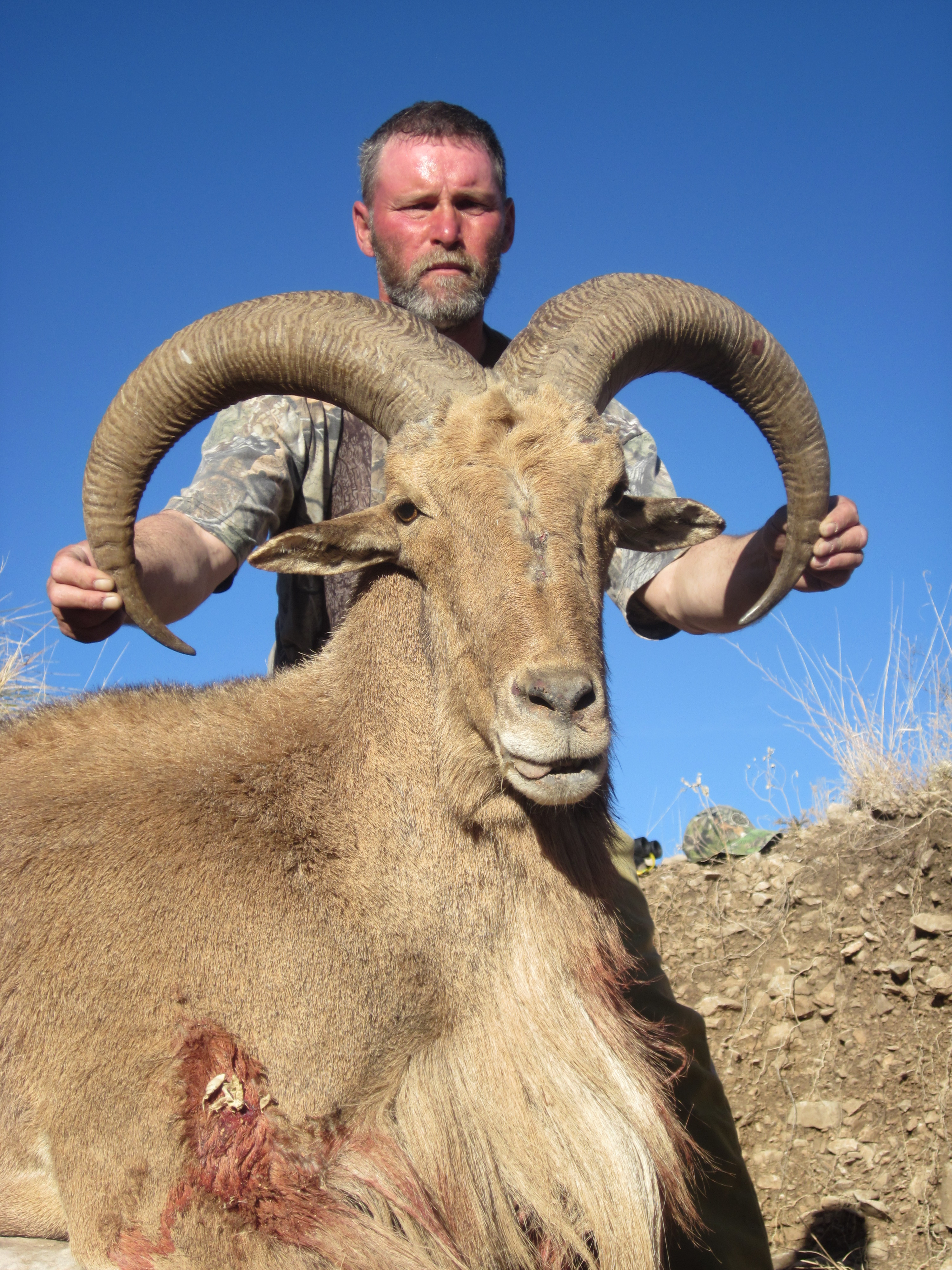 sheepbarbaryperryphotos086 Compass West Outfitters Compass West