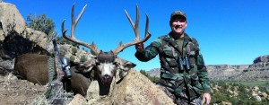 Mule Deer hunting New Mexico