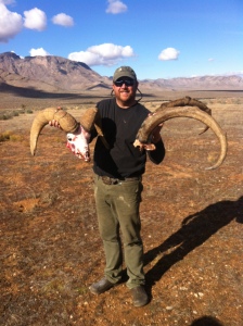 New Mexico Ibex and Nevada sheep