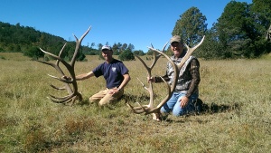 guided elk hunting unit 34