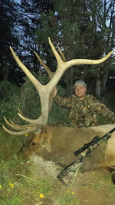 unit 34 trophy muzzleloader elk on guided hunt