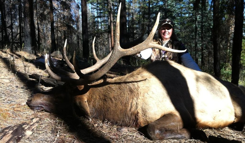 Rifle elk hunting in New Mexicos Gila 16A Compass West Outfitters