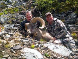 Colorado unit S-33 sheep